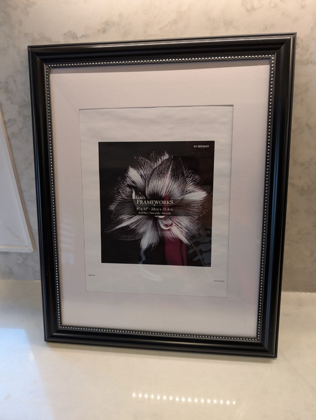 Frameworks 8x10 Acid Free Black with Silver Dots Frame