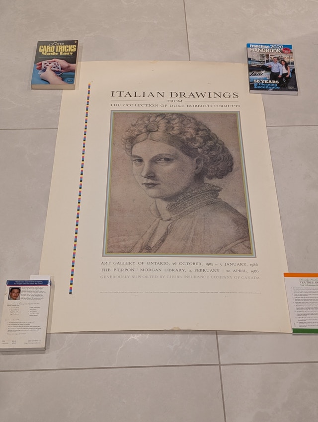 Portrait of a Young Woman Print by Andrea Previtali - AGO