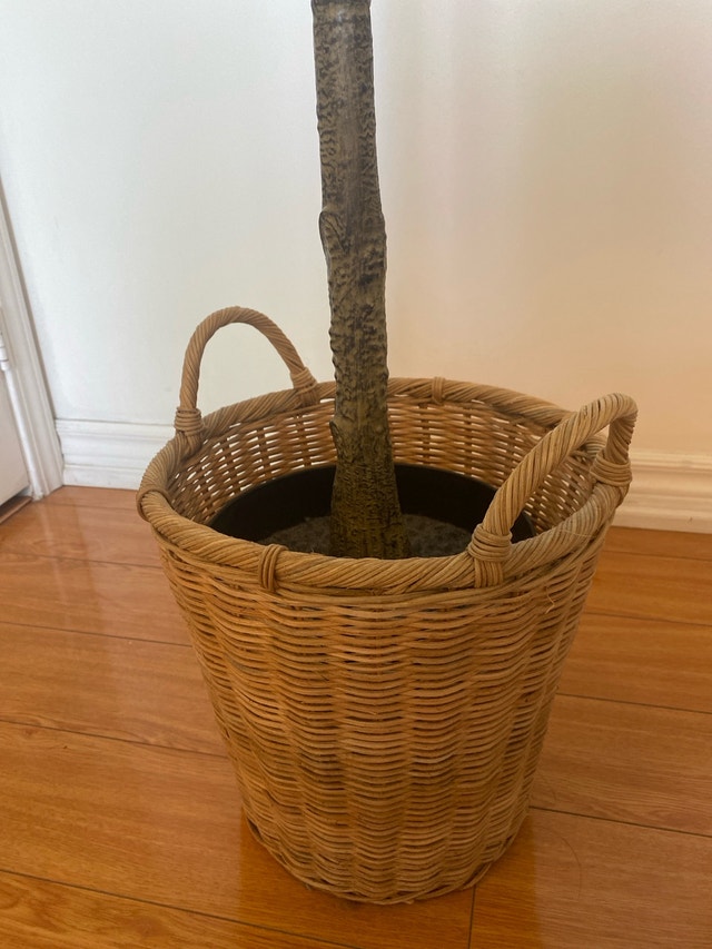 Artificial Ficus Tree - photo 2