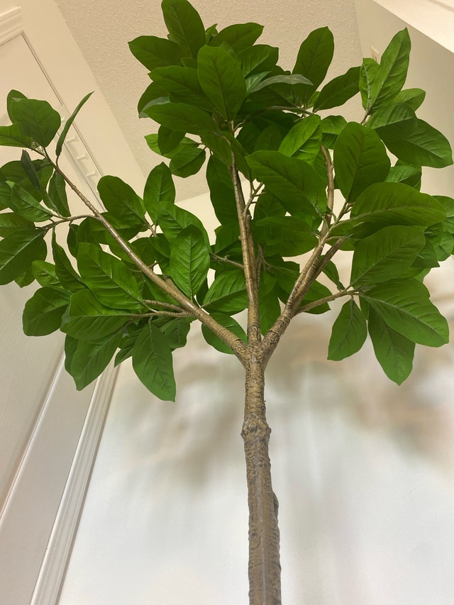 Artificial Ficus Tree - photo 4