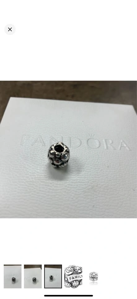 Pandora Family & Love Sterling Silver Charm - photo 4