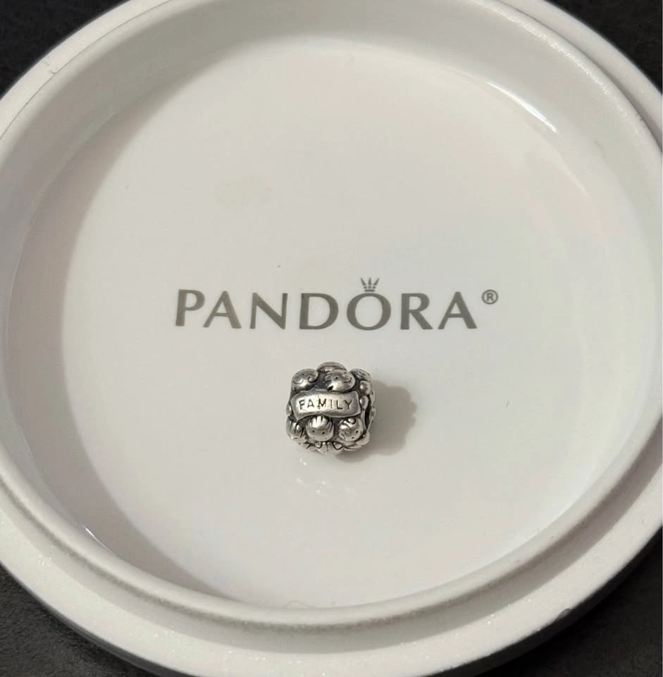 Pandora Family & Love Sterling Silver Charm - photo 5