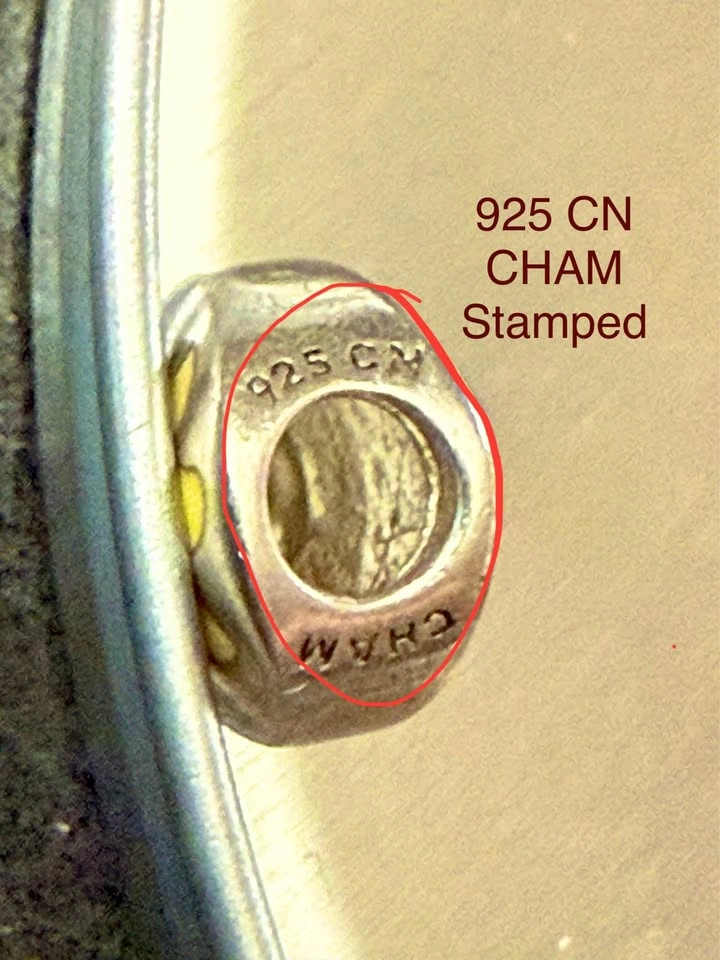 Chamilia Sterling Silver Oasis Charm - photo 4