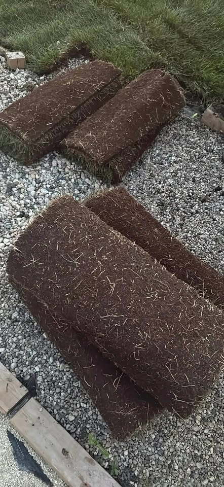 Fresh Sod
