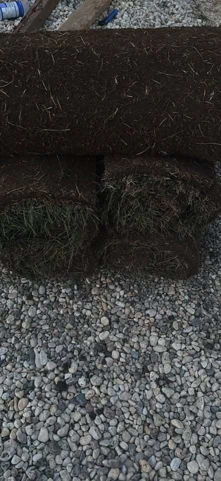 Fresh Sod - photo 2