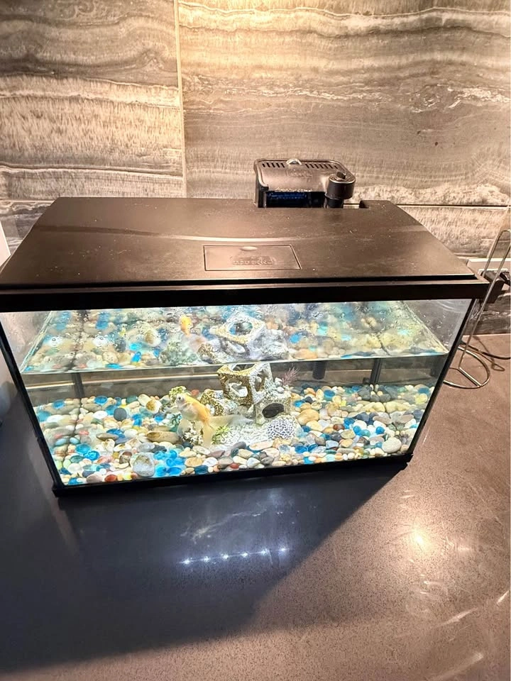 Aqua Culture Fish Tank Aquarium - photo 2