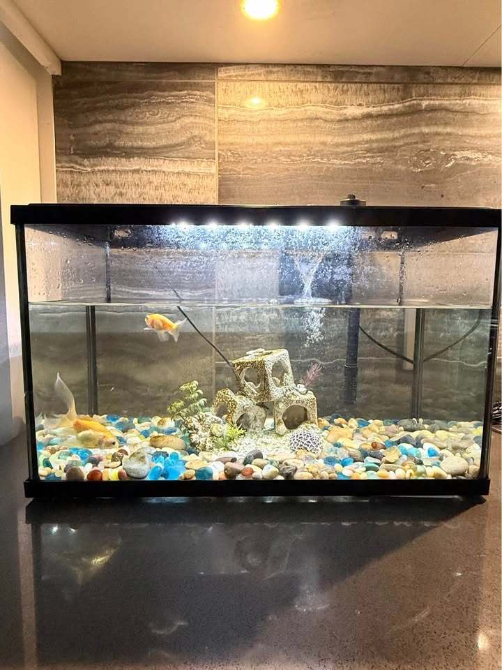Aqua Culture Fish Tank Aquarium - photo 3