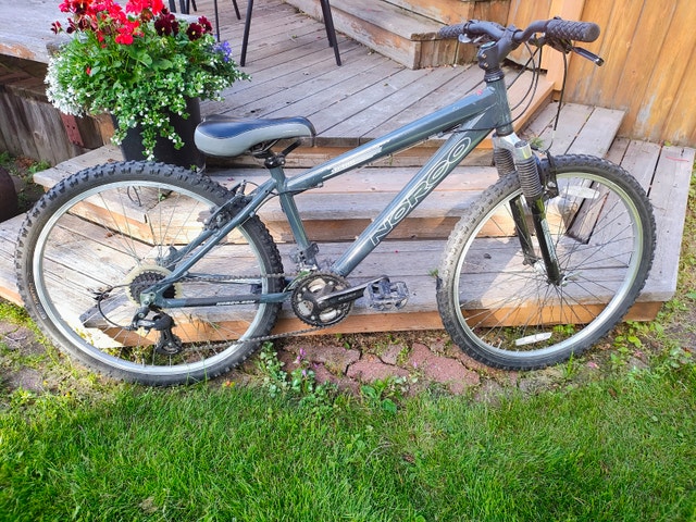 Norco Child/Teen Bike and Giant Road Bike