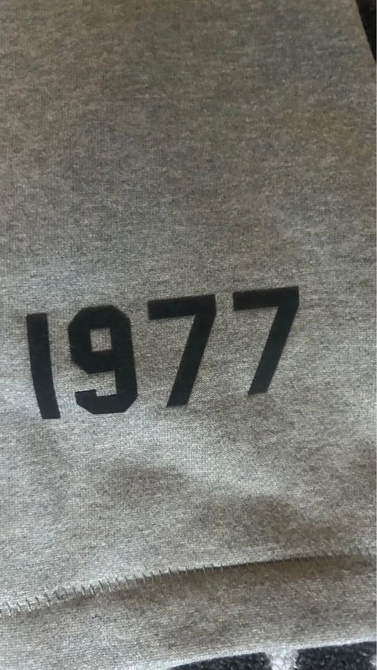 Essentials 1977 shorts - photo 3