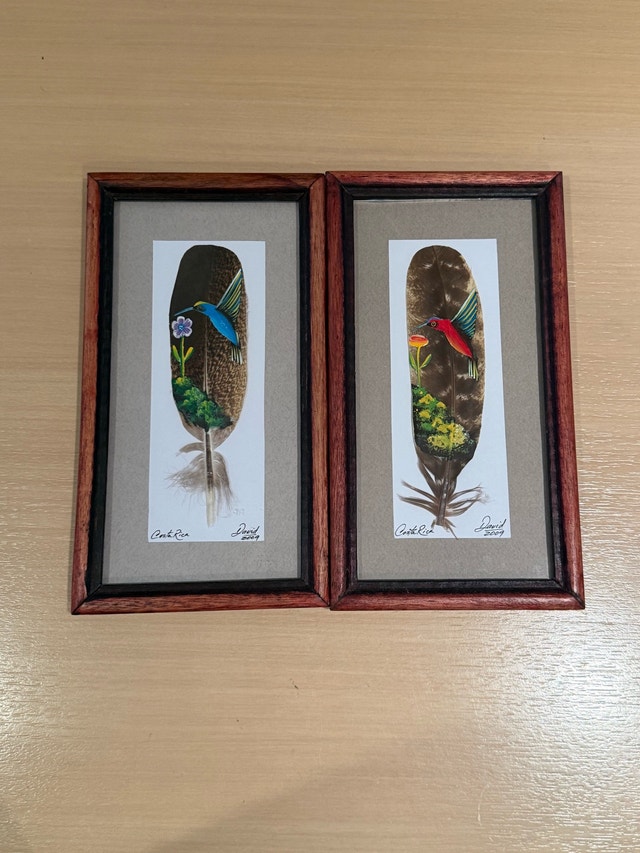 Hand-Painted Hummingbird Feather Artwork from Costa Rica 2009
