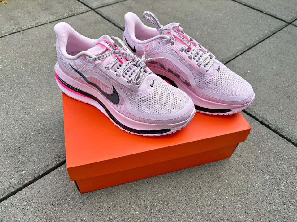 BNIB Nike Pegasus Premium