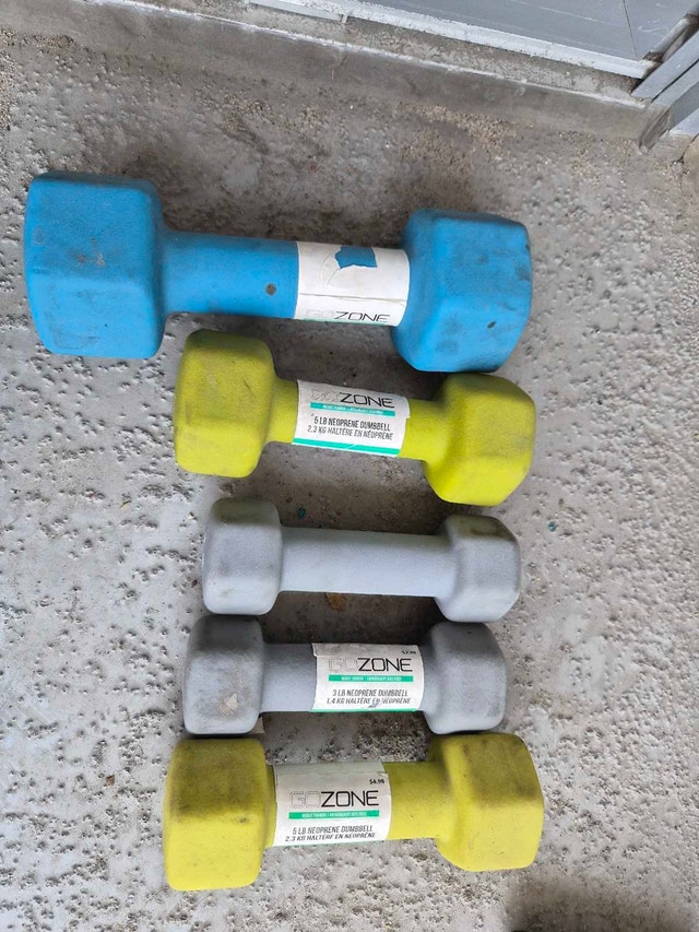 GoZone Neoprene Hex Dumbbells