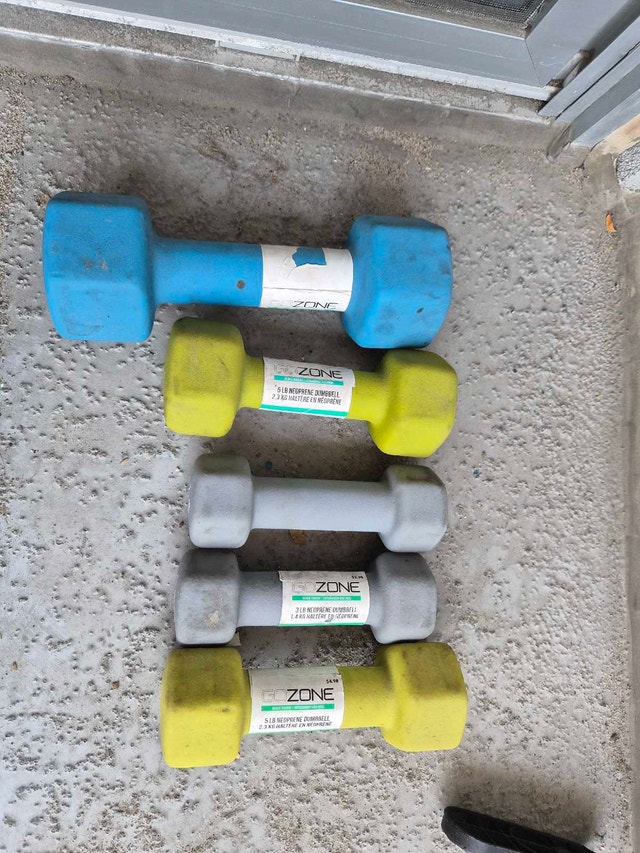 GoZone Neoprene Hex Dumbbells - photo 2