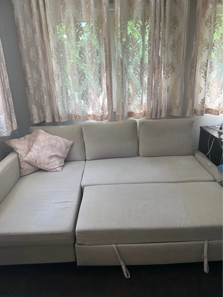 IKEA FRIHETEN Sleeper Sectional Sofa - photo 2