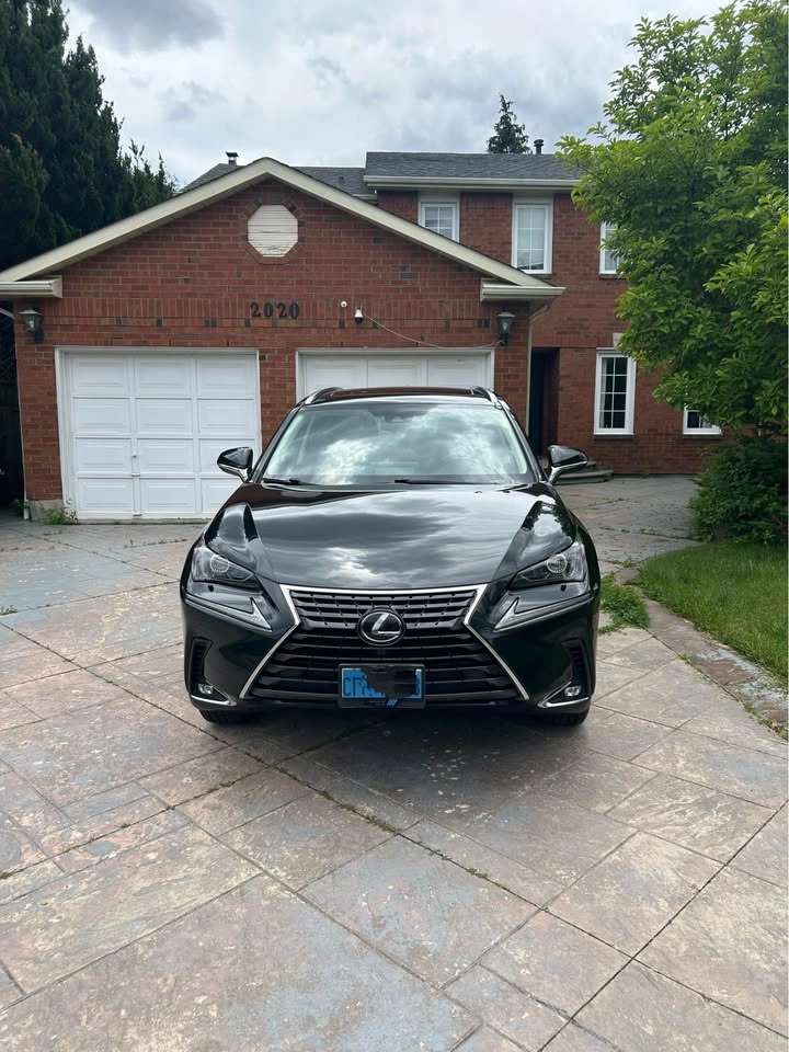 2020 Lexus NX - photo 2