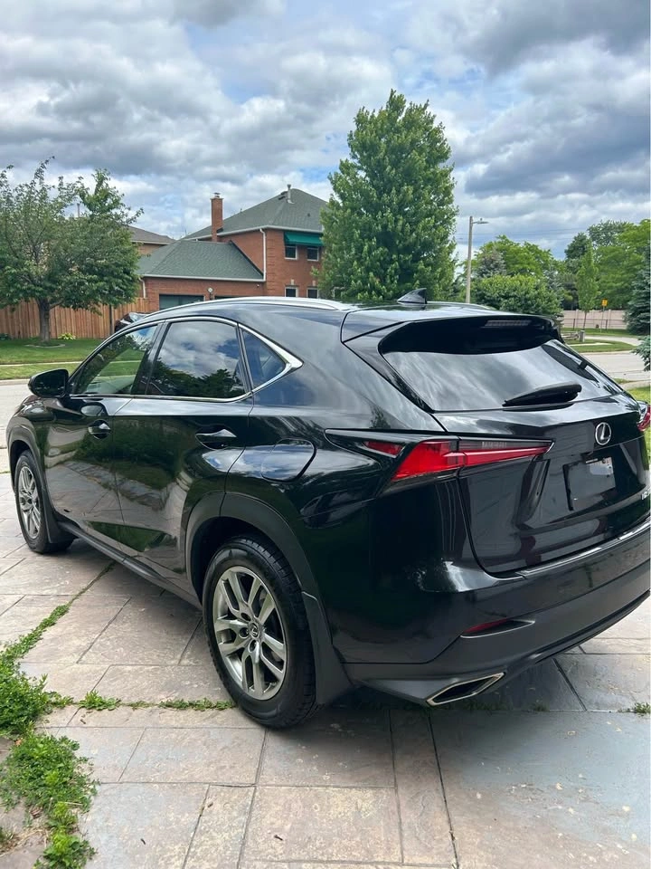 2020 Lexus NX - photo 3