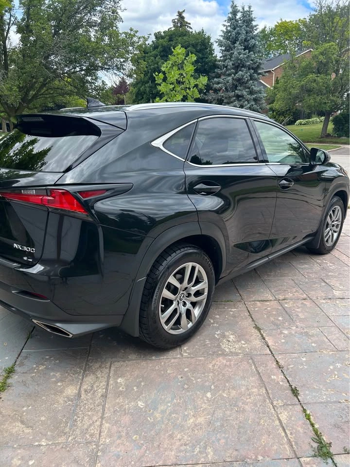 2020 Lexus NX - photo 4