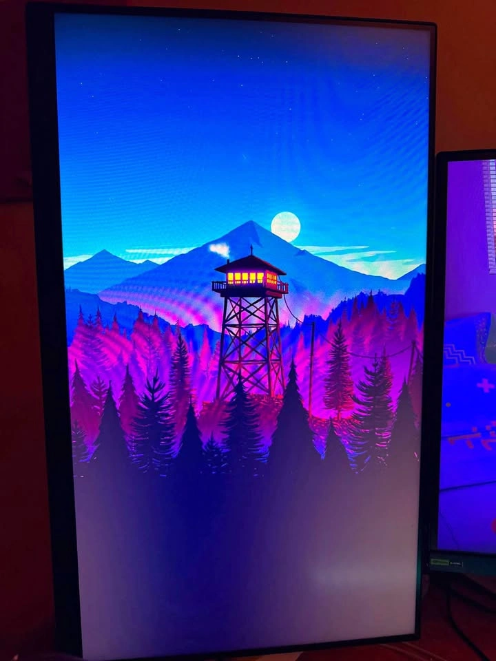 Monitor LG 24GN60R-B