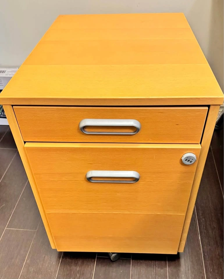 Wood Filing Cabinet with Wheels - Moving Sale