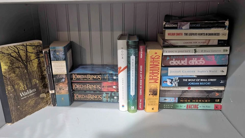 Classic and Fiction Books