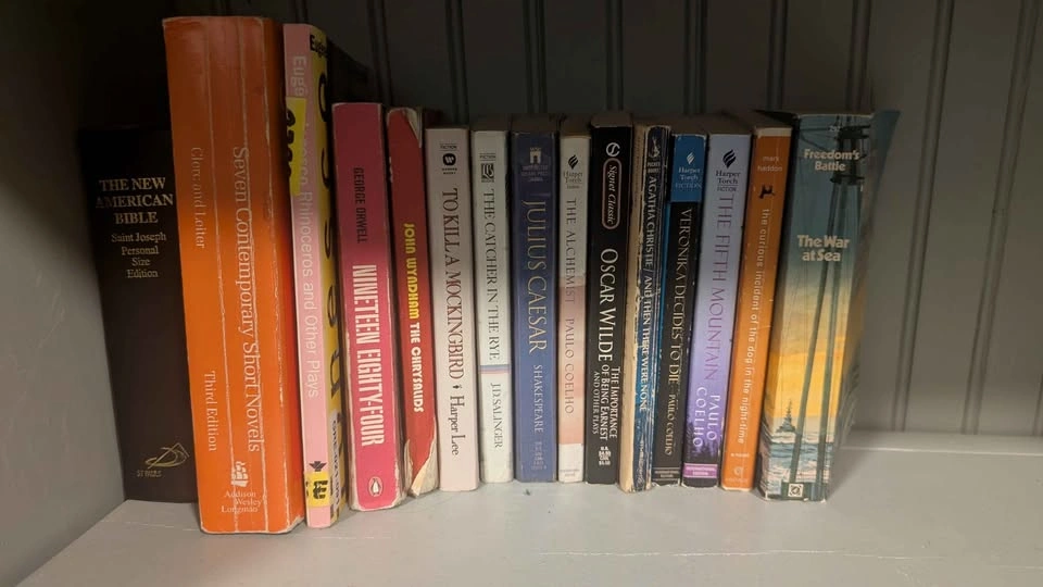 Classic and Fiction Books - photo 2