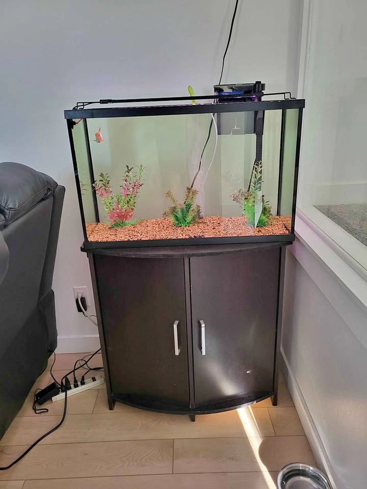 MOVING OUT SALE: 26-Gallon Aquarium Setup with Cabinet Stand