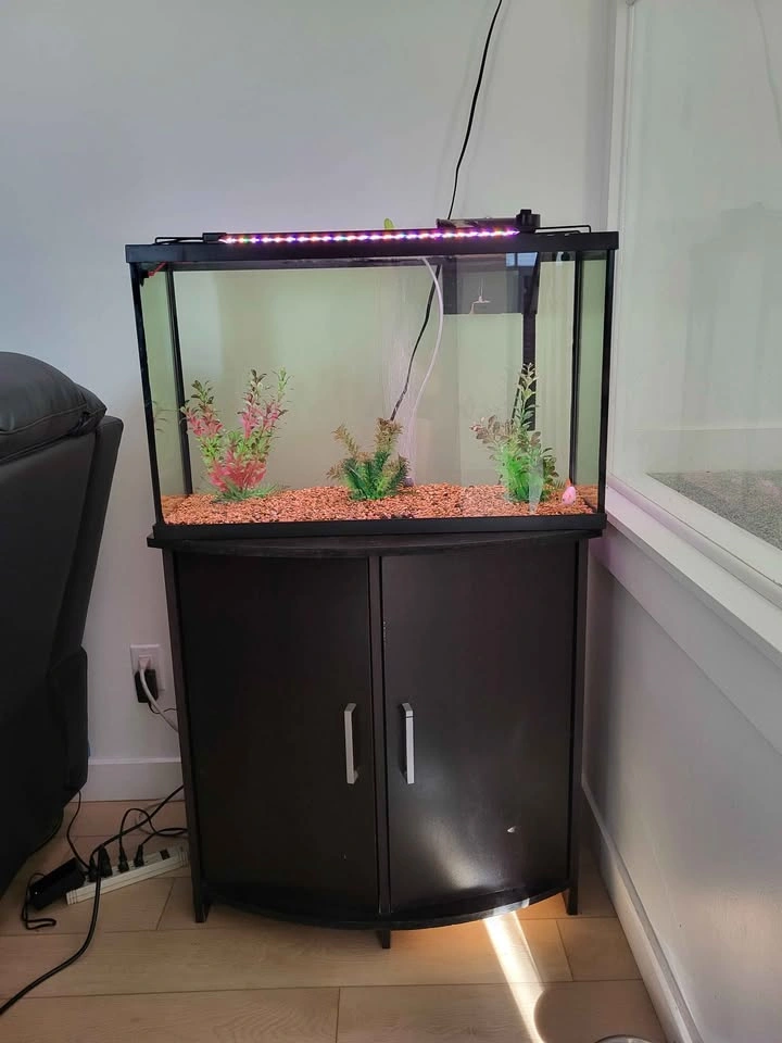 MOVING OUT SALE: 26-Gallon Aquarium Setup with Cabinet Stand - photo 2