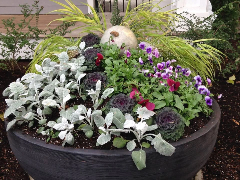 Seasonal Display Plantings