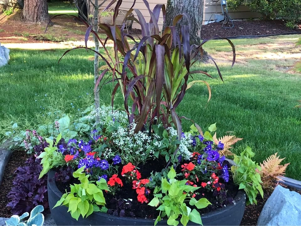 Seasonal Display Plantings - photo 2
