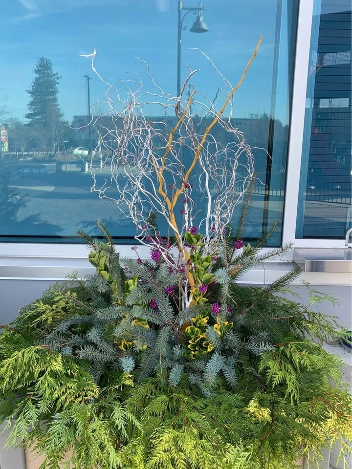 Seasonal Display Plantings - photo 4