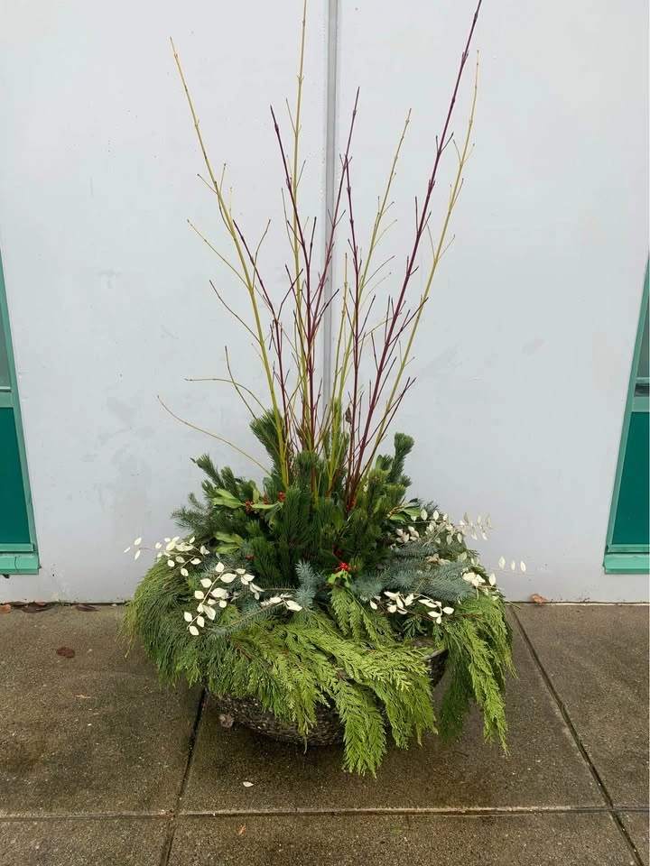 Seasonal Display Plantings - photo 5
