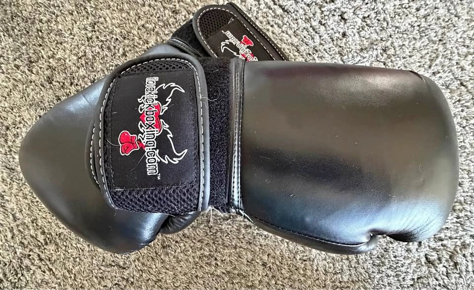 Kickboxing Gloves