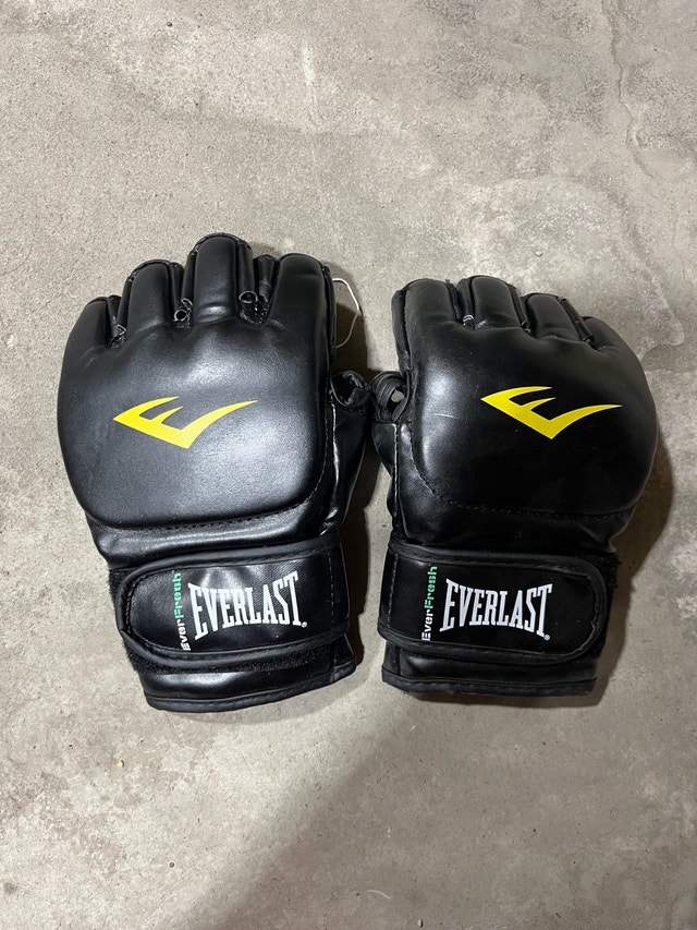 Kickboxing Gloves