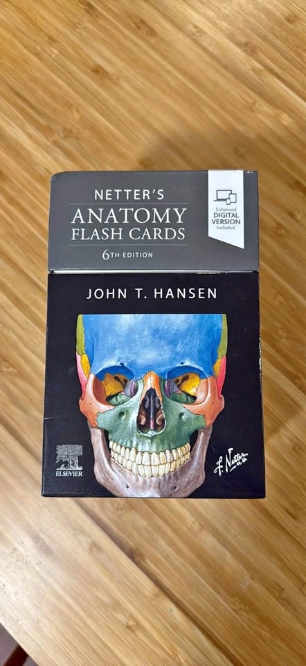 Netter's Anatomy Flash Cards 6th Edition by John T. Hansen