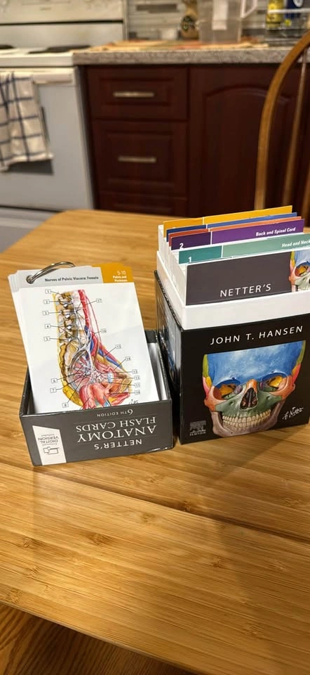 Netter's Anatomy Flash Cards 6th Edition by John T. Hansen - photo 2