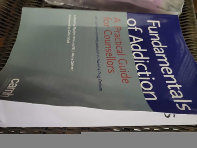 Fundamentals of addiction - photo 2