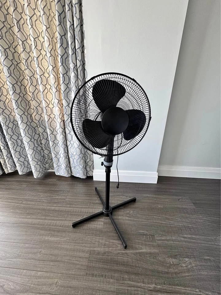 Black pedestal fan