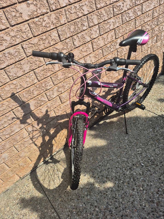 Aviago 24 in, Kids Mountain Bike - photo 2
