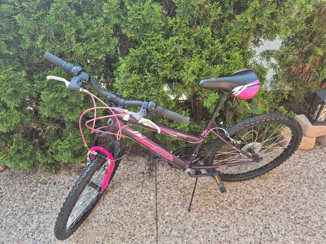 Aviago 24 in, Kids Mountain Bike - photo 3