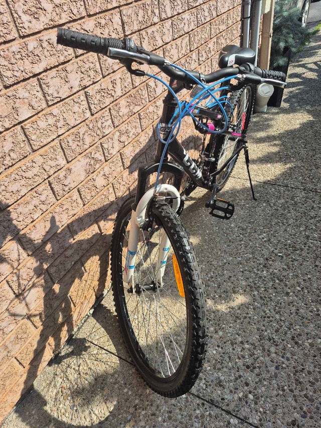 CCM Savage women's 21-speed mountain bike - photo 2