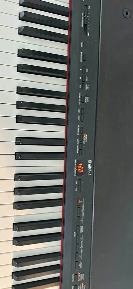 Yamaha Clavinova PF P-100 88-Key Weighted Stage Piano