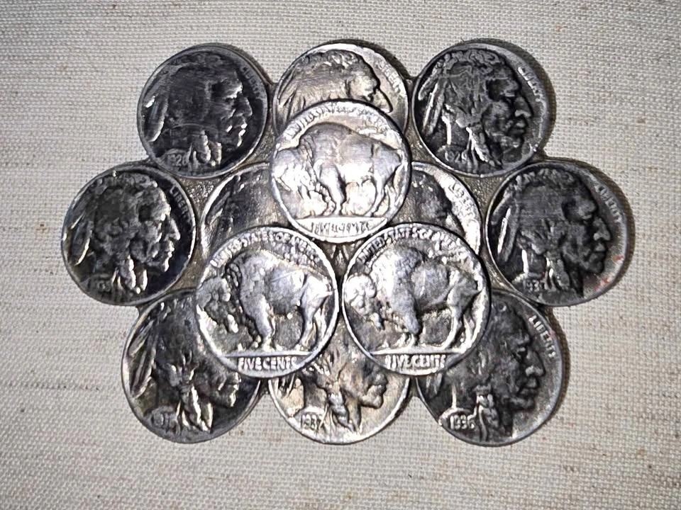 Vintage 1988 The Great American Buckle Co. Buffalo Nickel Belt B