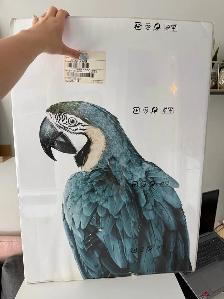 IKEA sealed posters 50 x 70cm, parrot and palm tree - photo 2