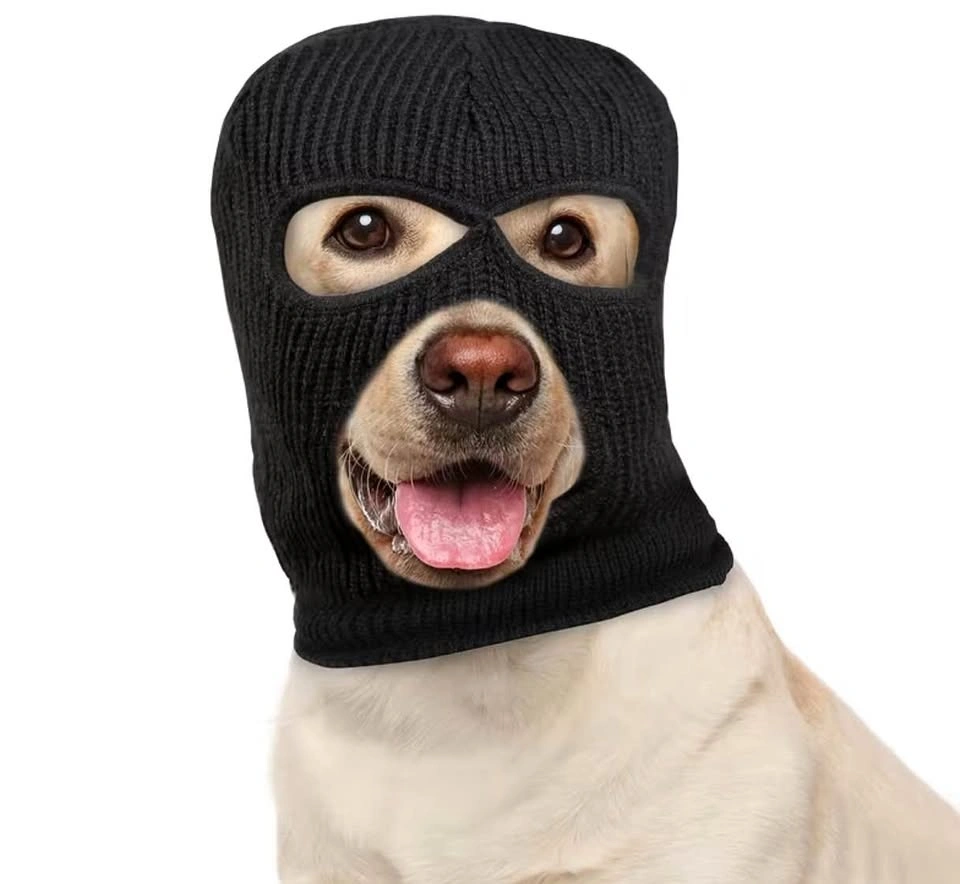 Dog funny costume
