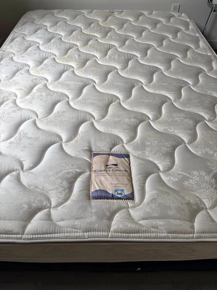 Used Queen Sealy Sasha Pillow Top Mattress with Boxspring