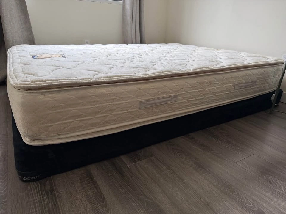 Used Queen Sealy Sasha Pillow Top Mattress with Boxspring - photo 2