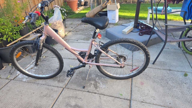 Avigo Mountain Bike - photo 2