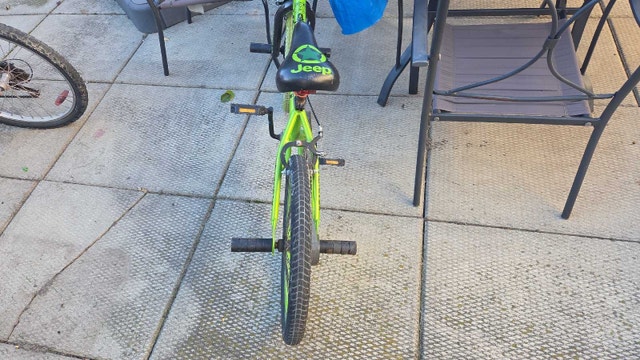 Avigo BMX Bike