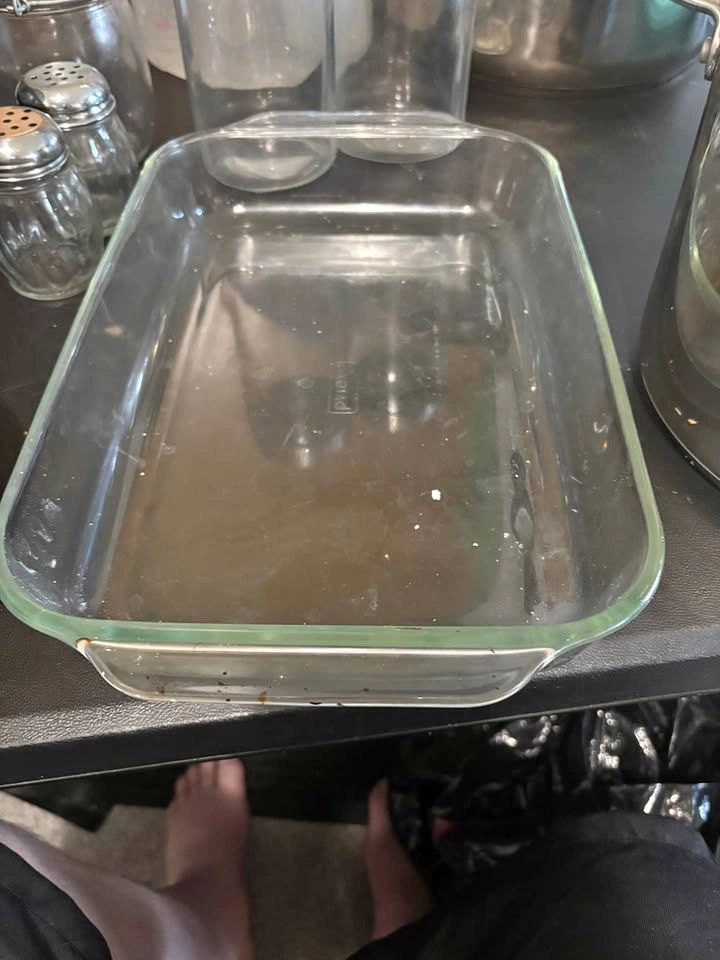 pyrex glass lasagna tray