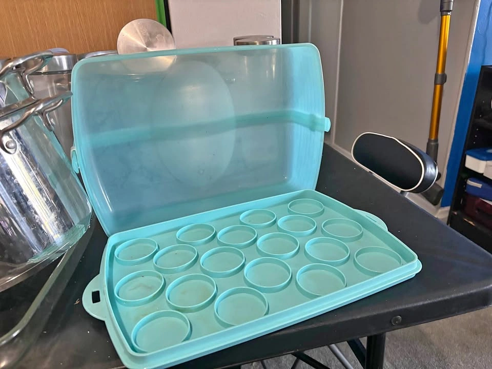 Cupcake/cake carrier